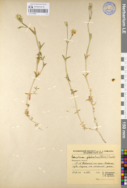 LE 01105607