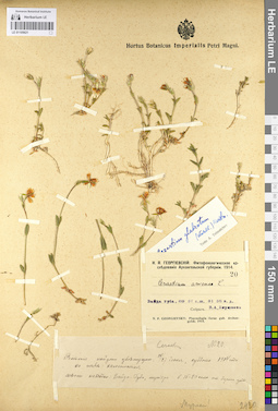 LE 01105621