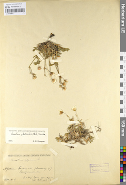LE 01105624