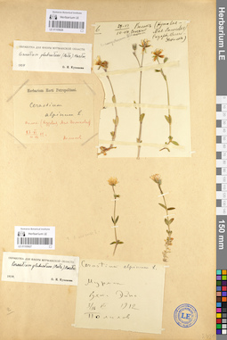 LE 01105627
