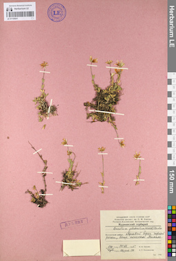 LE 01105641
