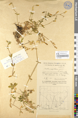 LE 01105653