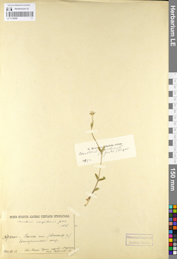 LE 01105656