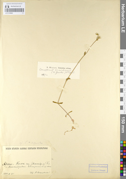 LE 01105662