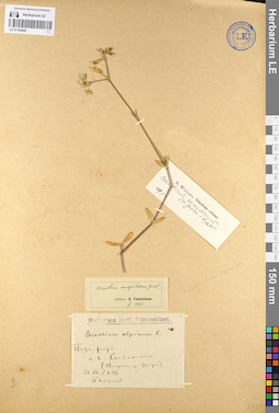 LE 01105669