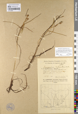 LE 01127606