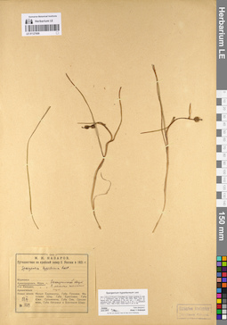 LE 01127609