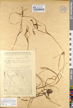 LE 01127615