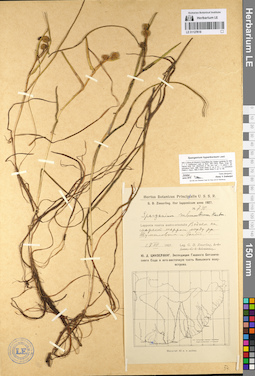 LE 01127618