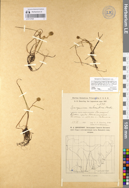 LE 01127625