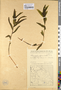 LE 01127686