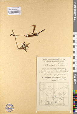 LE 01127712