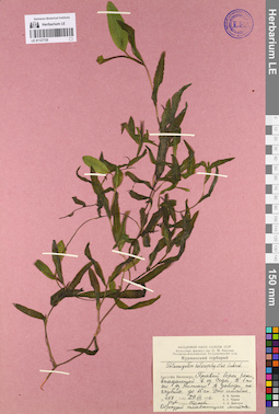 LE 01127725