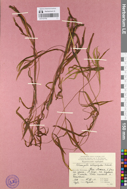 LE 01127752