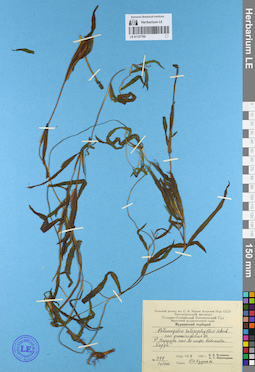 LE 01127760