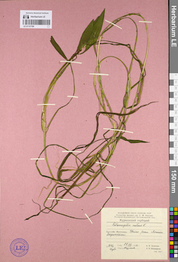 LE 01127769