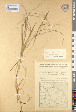 LE 01128428