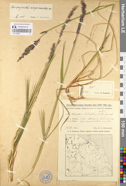 LE 01128539