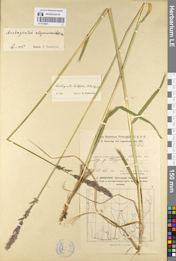 LE 01128541