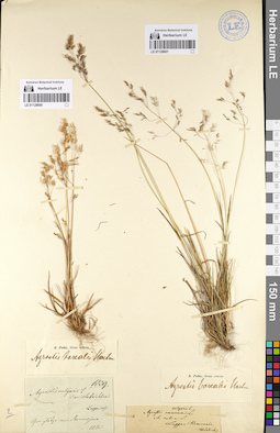 LE 01128601