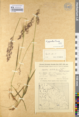 LE 01128669