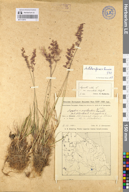 LE 01128702