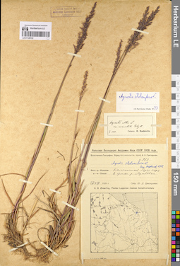 LE 01128722