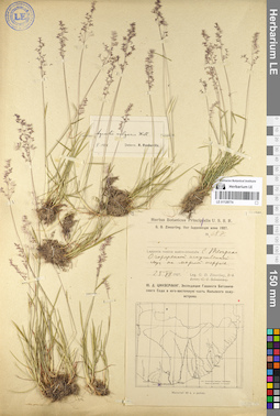 LE 01128774