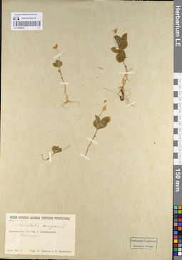 LE 01098836