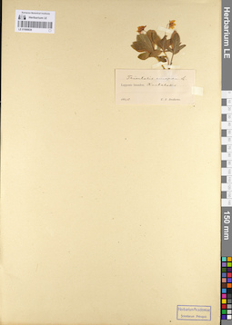 LE 01098839