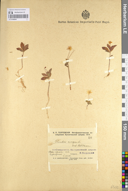 LE 01098840