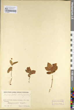 LE 01098843
