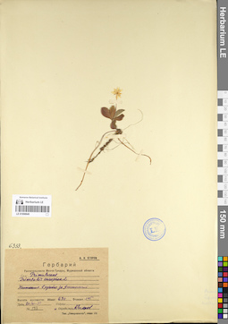 LE 01098849