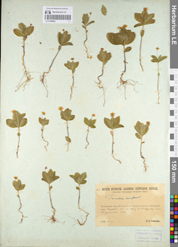 LE 01098852