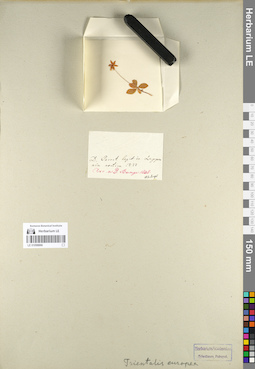 LE 01098866