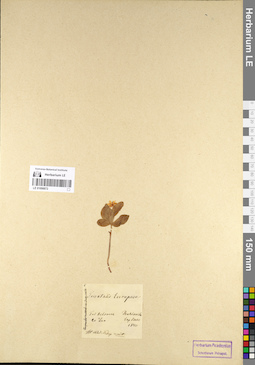 LE 01098872