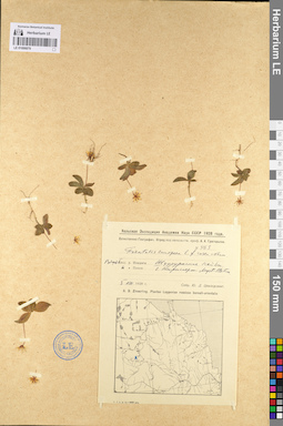 LE 01098879