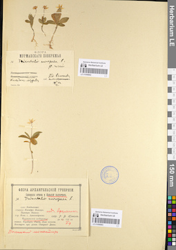 LE 01098883
