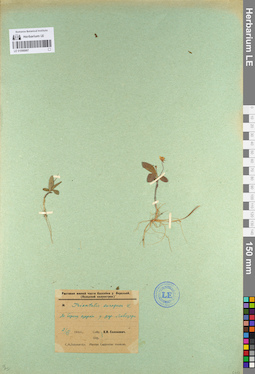 LE 01098887