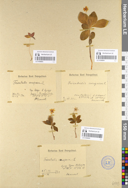 LE 01098894