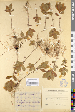 LE 01098906