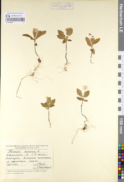 LE 01098911