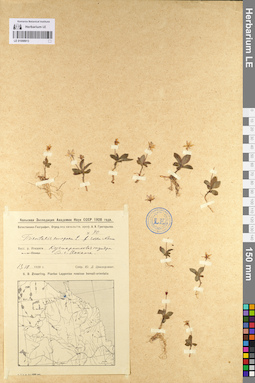 LE 01098913