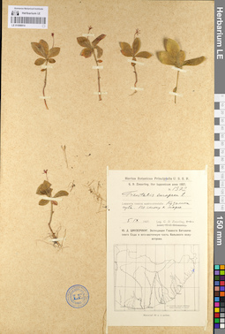 LE 01098914