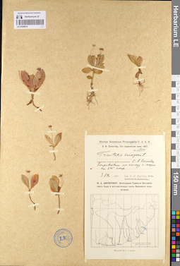 LE 01098916