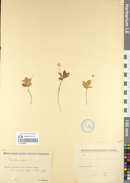 LE 01098918