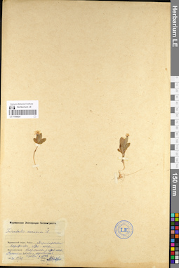 LE 01098924