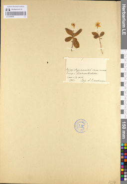 LE 01098926