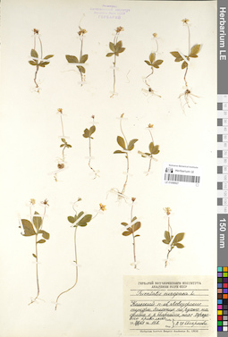 LE 01098927