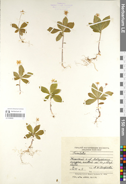 LE 01098929